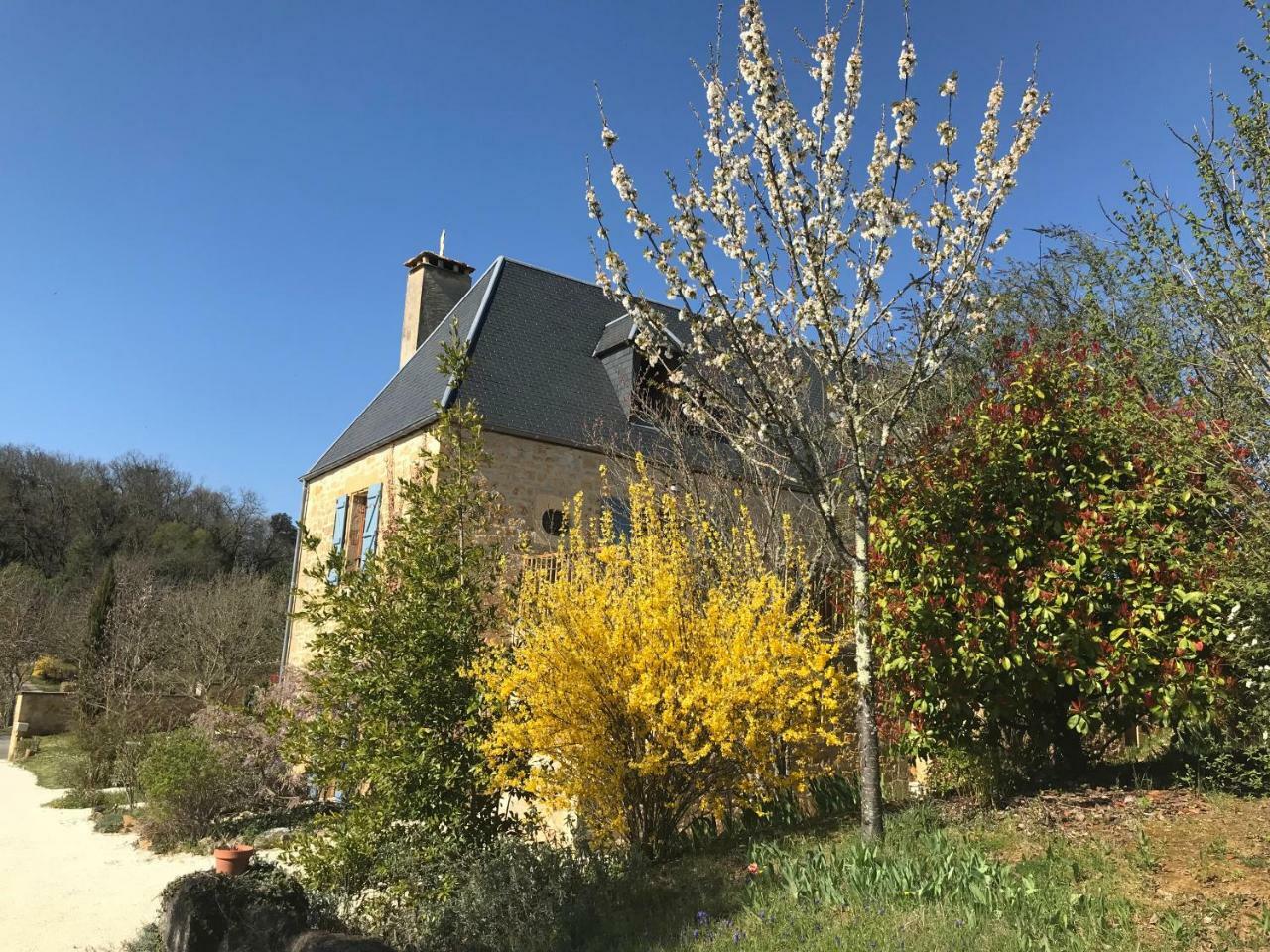 La Riviere Esperance Villa Veyrignac Buitenkant foto
